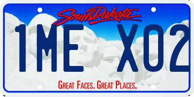 SD license plate 1MEX02