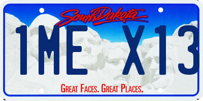 SD license plate 1MEX13