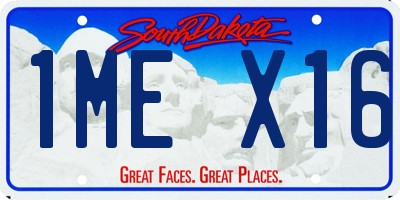 SD license plate 1MEX16