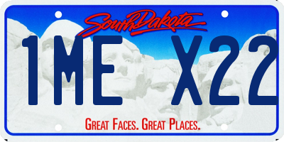 SD license plate 1MEX22