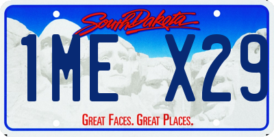 SD license plate 1MEX29