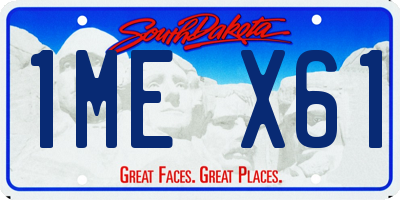 SD license plate 1MEX61