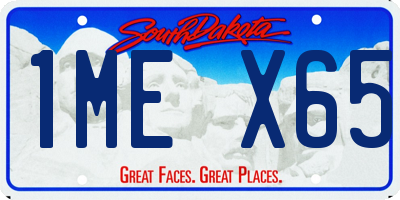 SD license plate 1MEX65