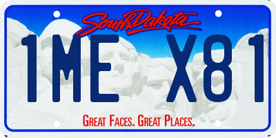 SD license plate 1MEX81