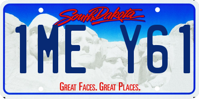 SD license plate 1MEY61