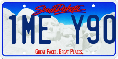 SD license plate 1MEY90