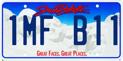 SD license plate 1MFB11