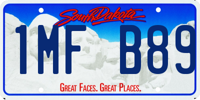 SD license plate 1MFB89