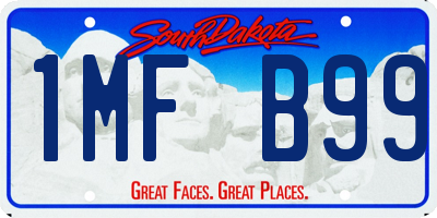 SD license plate 1MFB99
