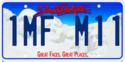 SD license plate 1MFM11