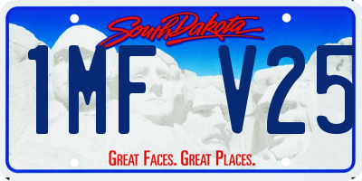 SD license plate 1MFV25