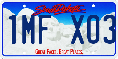 SD license plate 1MFX03
