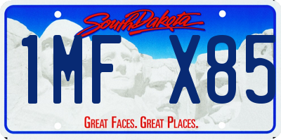 SD license plate 1MFX85