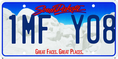 SD license plate 1MFY08