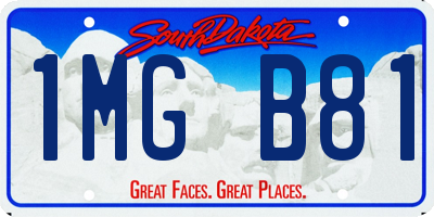 SD license plate 1MGB81