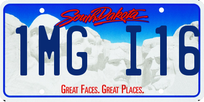 SD license plate 1MGI16