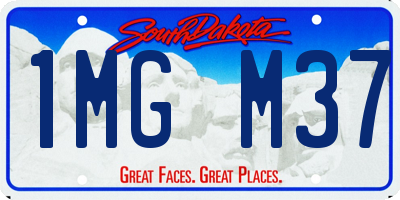 SD license plate 1MGM37