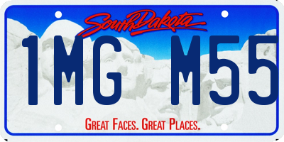 SD license plate 1MGM55