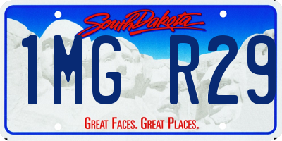SD license plate 1MGR29