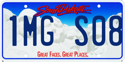 SD license plate 1MGS08