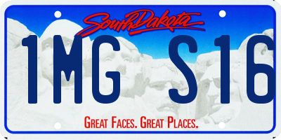 SD license plate 1MGS16