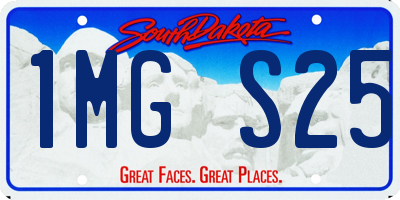 SD license plate 1MGS25