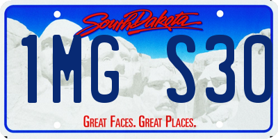 SD license plate 1MGS30