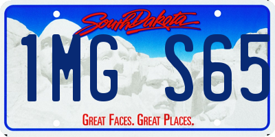 SD license plate 1MGS65