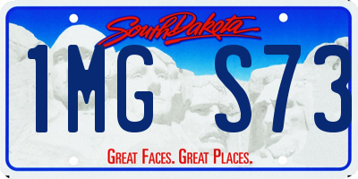 SD license plate 1MGS73