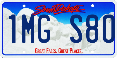 SD license plate 1MGS80