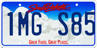 SD license plate 1MGS85