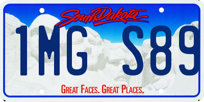 SD license plate 1MGS89