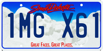 SD license plate 1MGX61