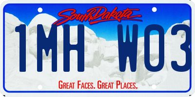 SD license plate 1MHW03