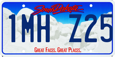 SD license plate 1MHZ25