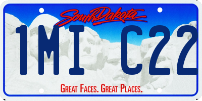 SD license plate 1MIC22