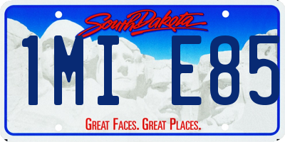 SD license plate 1MIE85