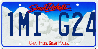 SD license plate 1MIG24