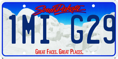SD license plate 1MIG29