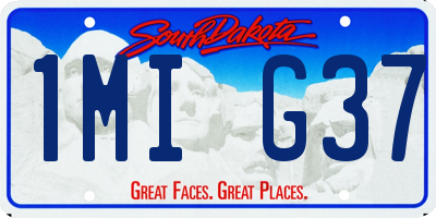 SD license plate 1MIG37