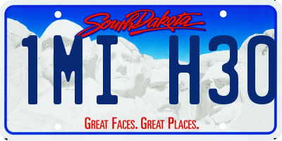 SD license plate 1MIH30
