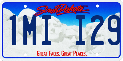 SD license plate 1MII29