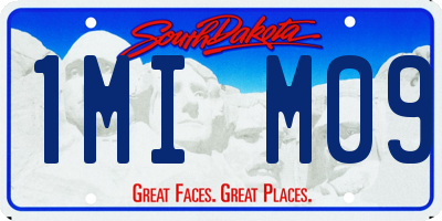 SD license plate 1MIM09