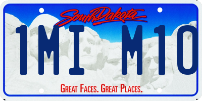 SD license plate 1MIM10