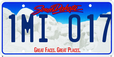 SD license plate 1MIO17