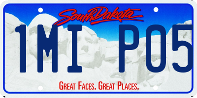 SD license plate 1MIP05
