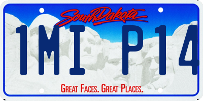 SD license plate 1MIP14
