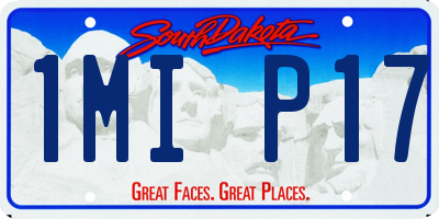 SD license plate 1MIP17