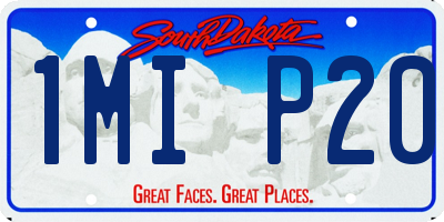 SD license plate 1MIP20