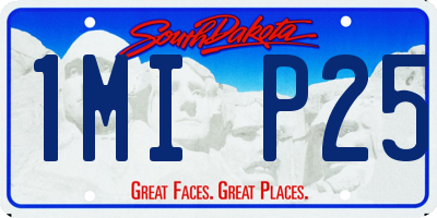 SD license plate 1MIP25